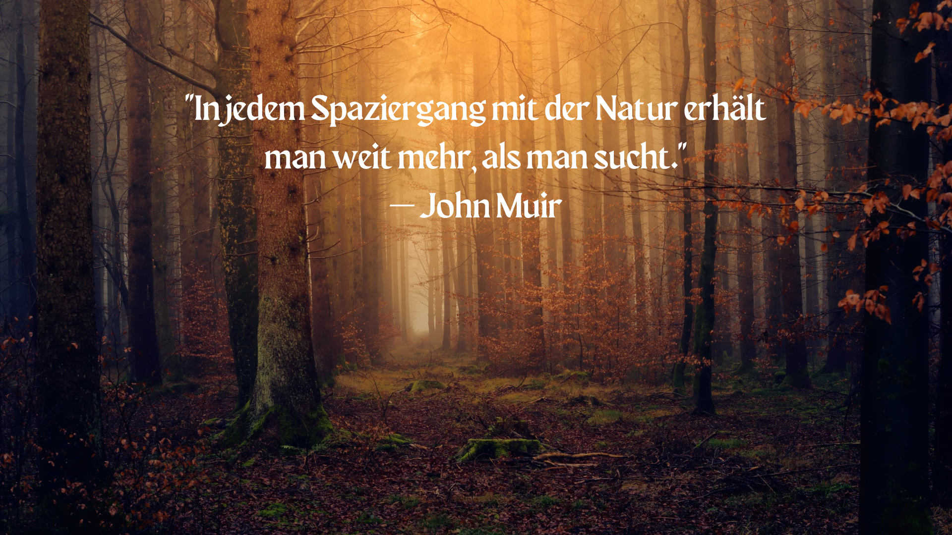 Inspirierende Natur-Zitate